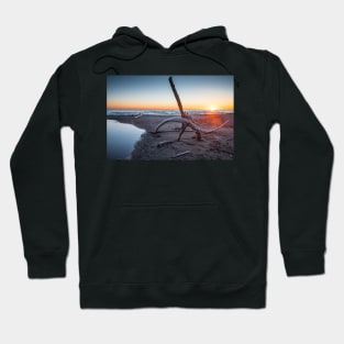 Driftwood Hoodie